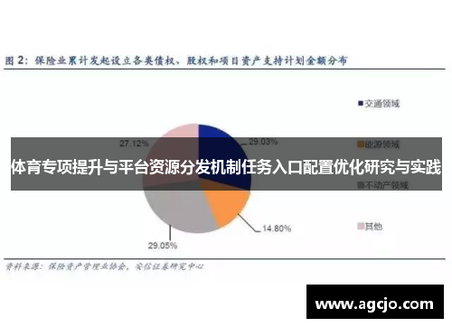 体育专项提升与平台资源分发机制任务入口配置优化研究与实践